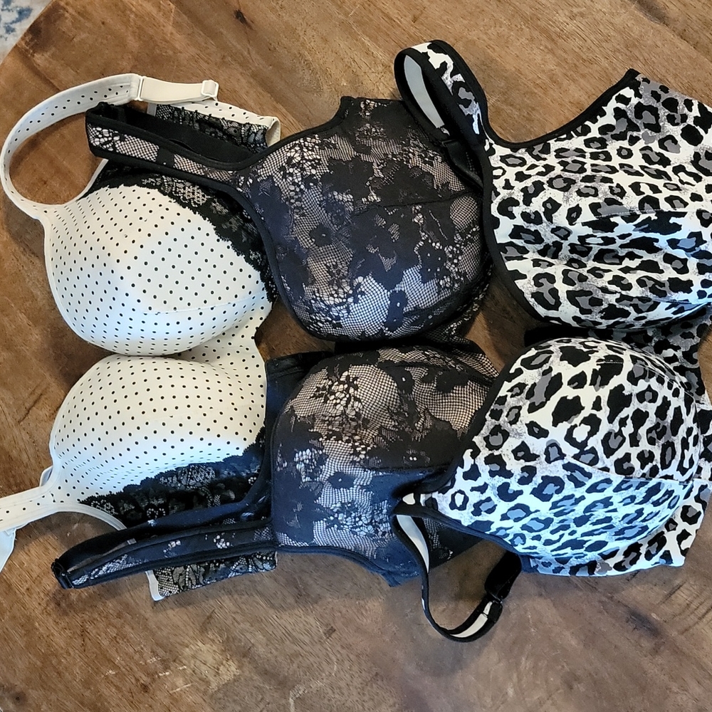 Lane bryant bras